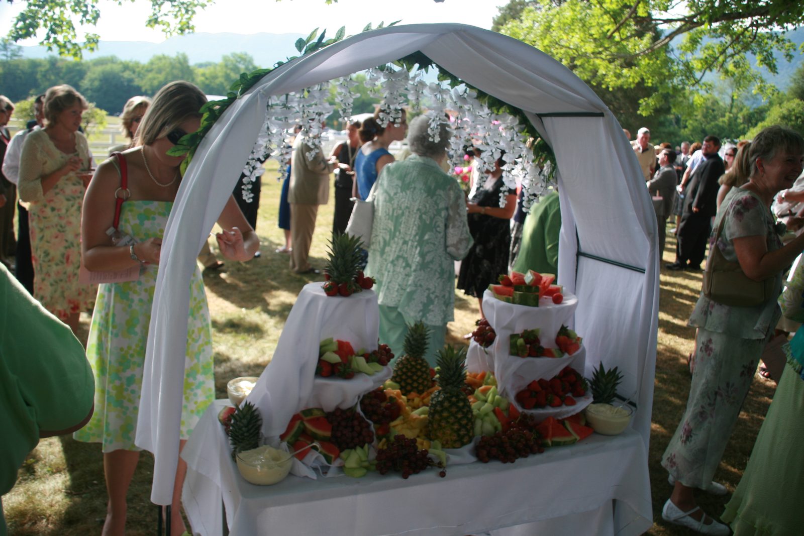 The pre-reception, during-pictures party.  That fruit looked delicious.